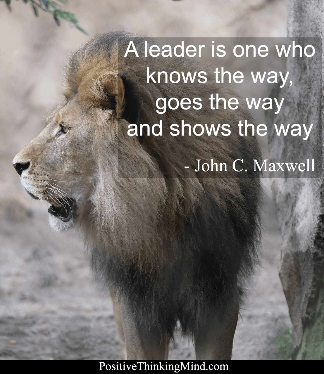 A Leader Is One Who Knows The Way Goes The Way And Shows The Way