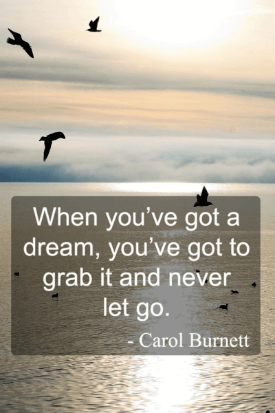 When you’ve got a dream, you’ve got to grab it and never let it go – Carol Burnett