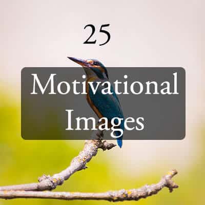 25 Motivational Image Quotes
