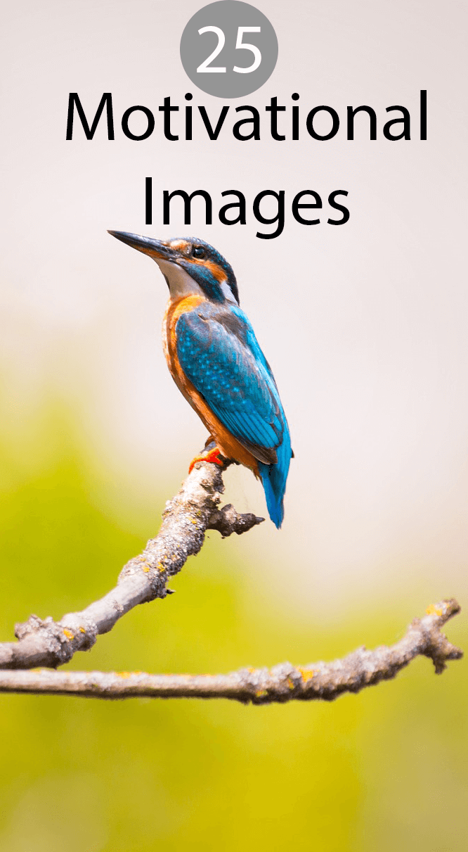 25 Motivational Image Quotes | Positive Thinking Mind