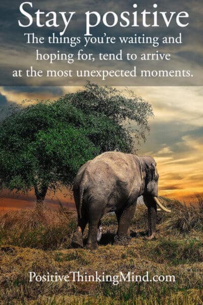 Stay Positive, the things you’re waiting and hoping for tend to arrive at the most unexpected times