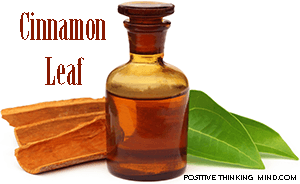 cinnamon leaf