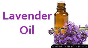 lavender oil