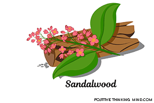 sandalwood oil