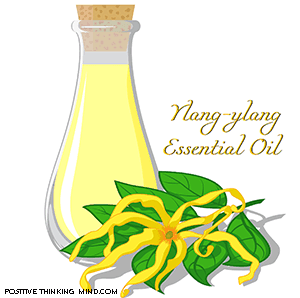ylang ylang oil