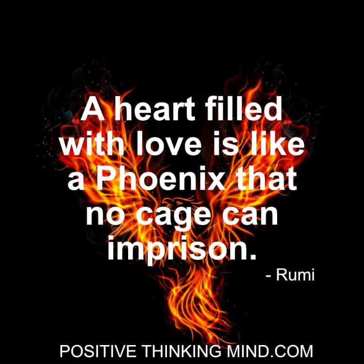 201 Rumi Quotes In Honor Of Love, Life And Wisdom (2020) - Positive ...