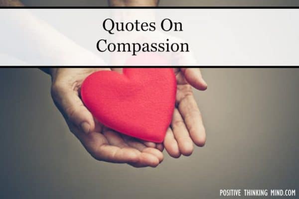 130 Best Compassion Quotes Positive Thinking Mind