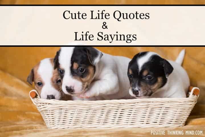 cute pictures with quotes about life