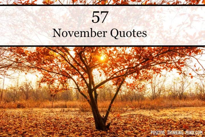 November Quotes And Sayings